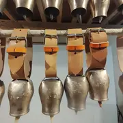 Le projet Museoa Urtu