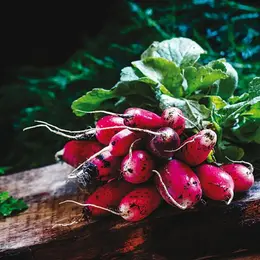 5 légumes simples à cultiver