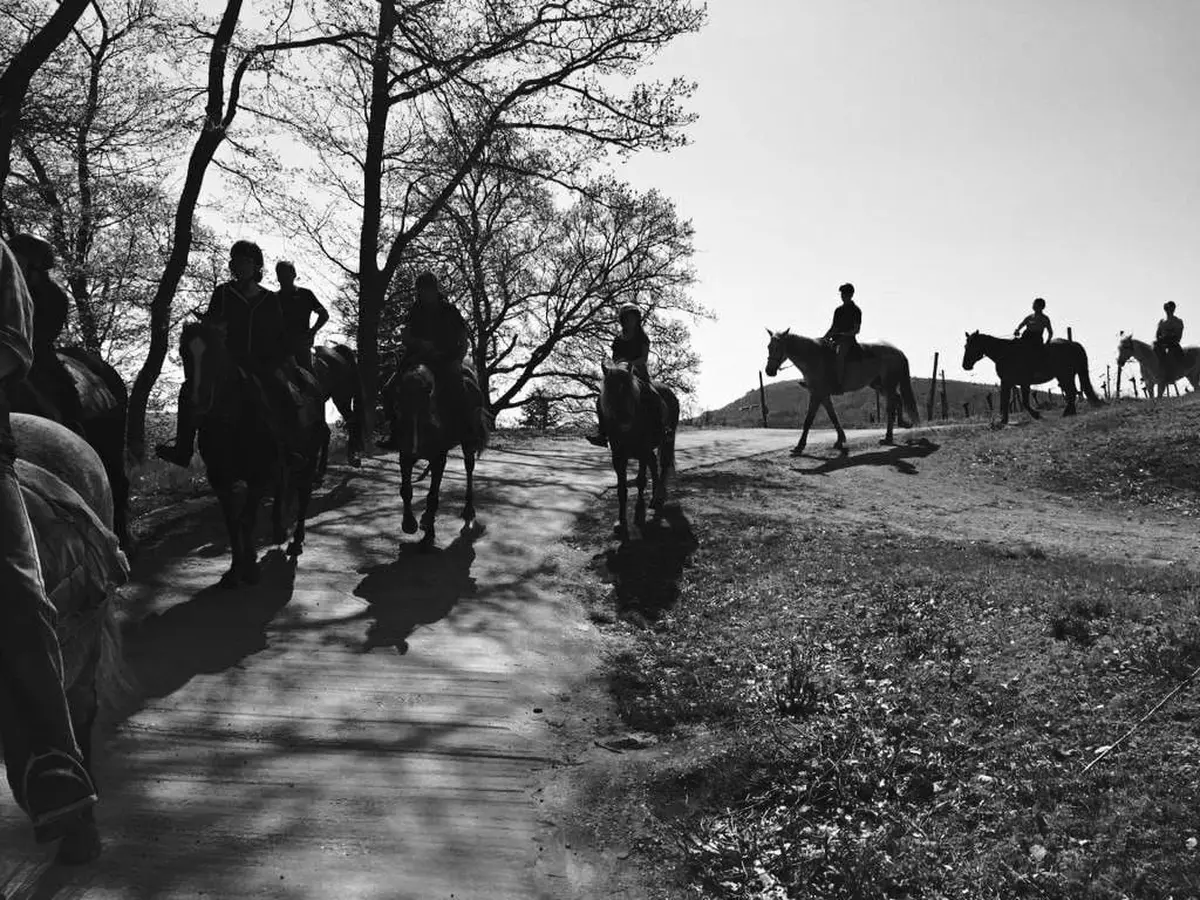Le ranch du Laubenrain, au coeur de la nature