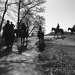 5 ranchs pour devenir un cow-boy alsacien !
