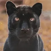 Le Refuge de l'Arche