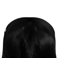 Le Regard du Monde — 200 ans, 200 photographies. ( Avec l'exposition personnelle de ZHANG Gengqi )