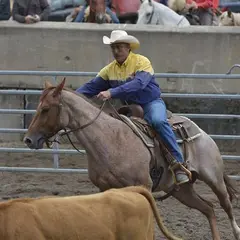 Le Reiningue's Ranch