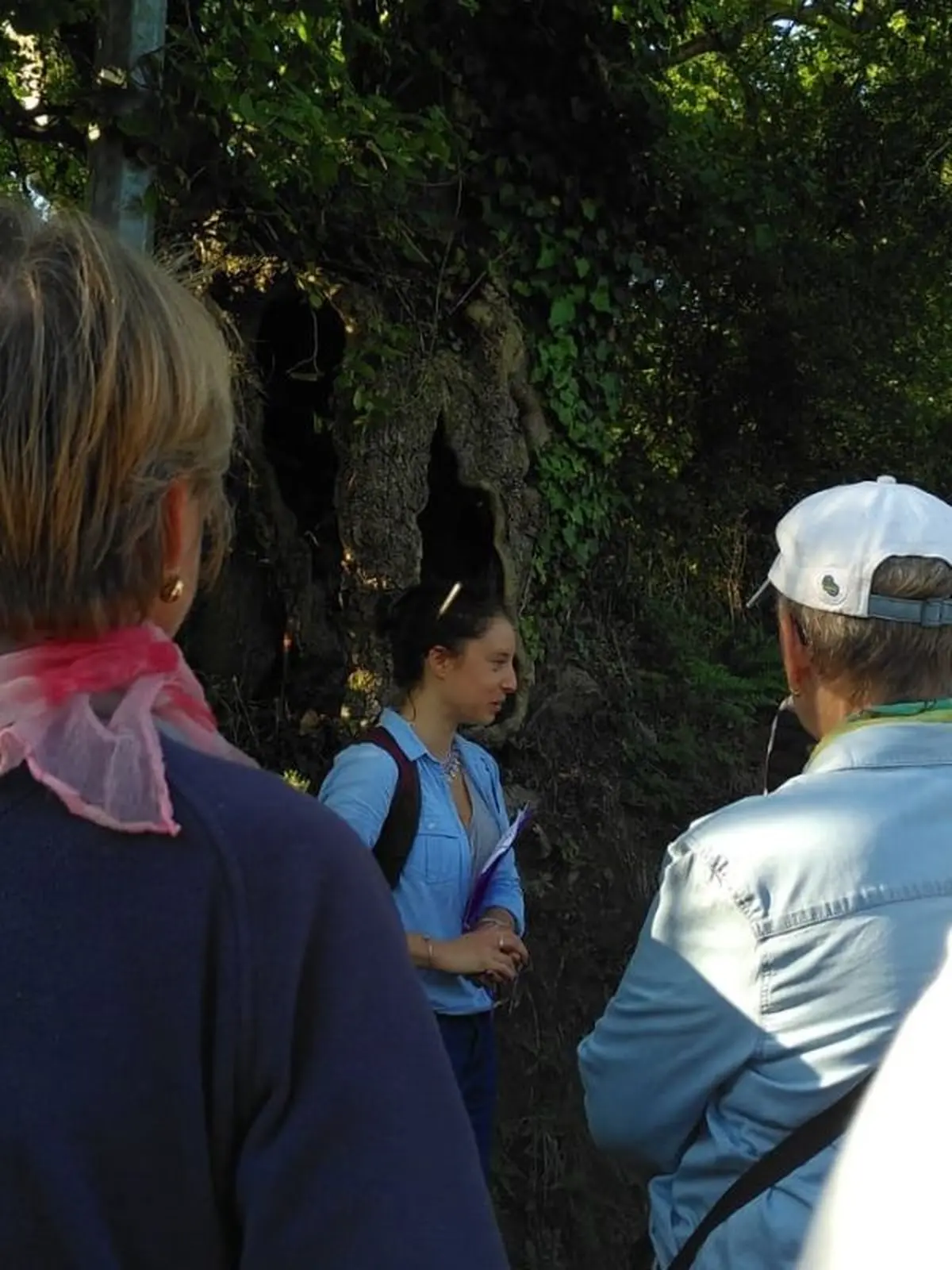 Le remembrement : histoire du bocage