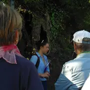 Le remembrement : histoire du bocage