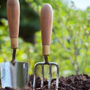 Le rendez-vous du jardinier - décembre 2025