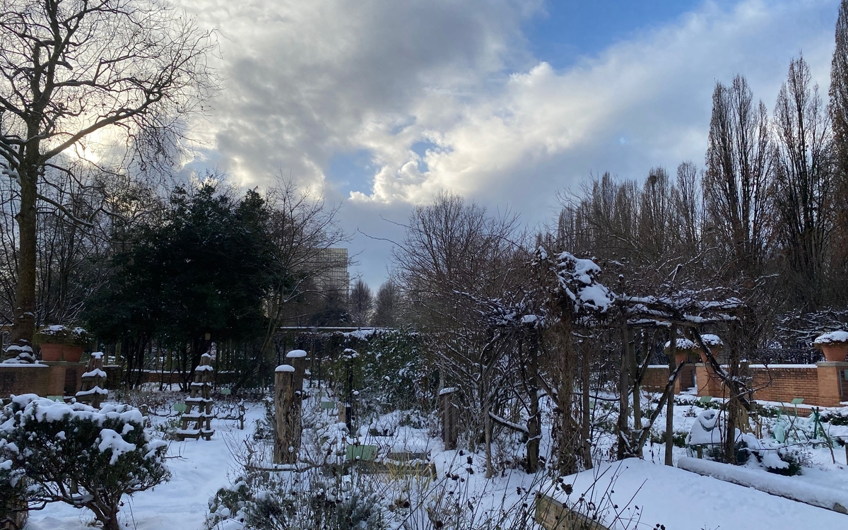 Potager de Bercy sous la neige