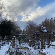 Le rendez-vous du jardinier - Février 2026