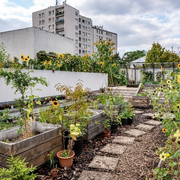 Le rendez-vous du jardinier - Janvier 2026