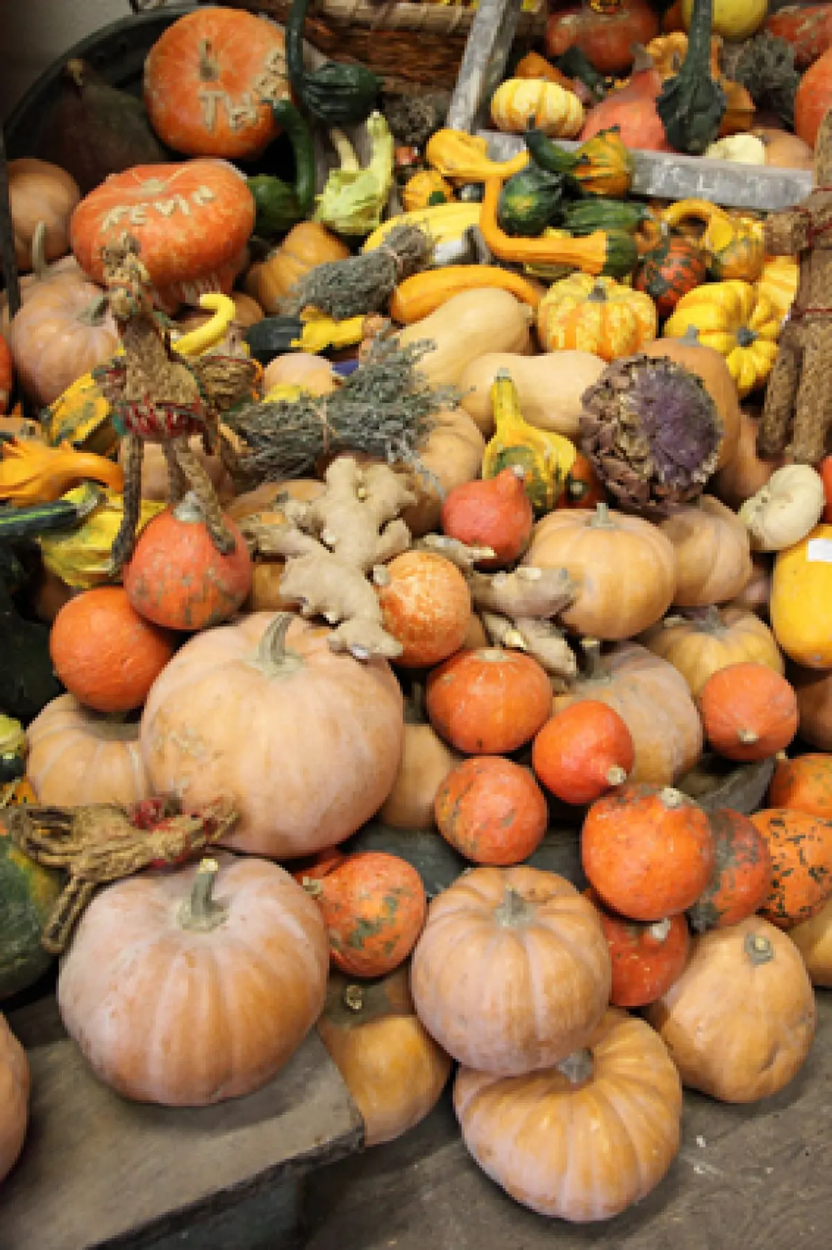 Le renouveau annoncé des vieux légumes