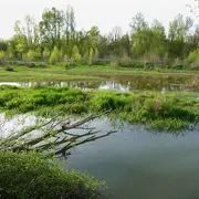 Le réveil de la nature sur l'Ile de la Folie à Chaumont-sur-Loire