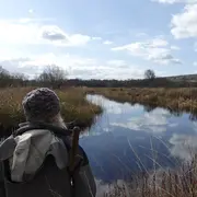 Le réveil de la tourbière