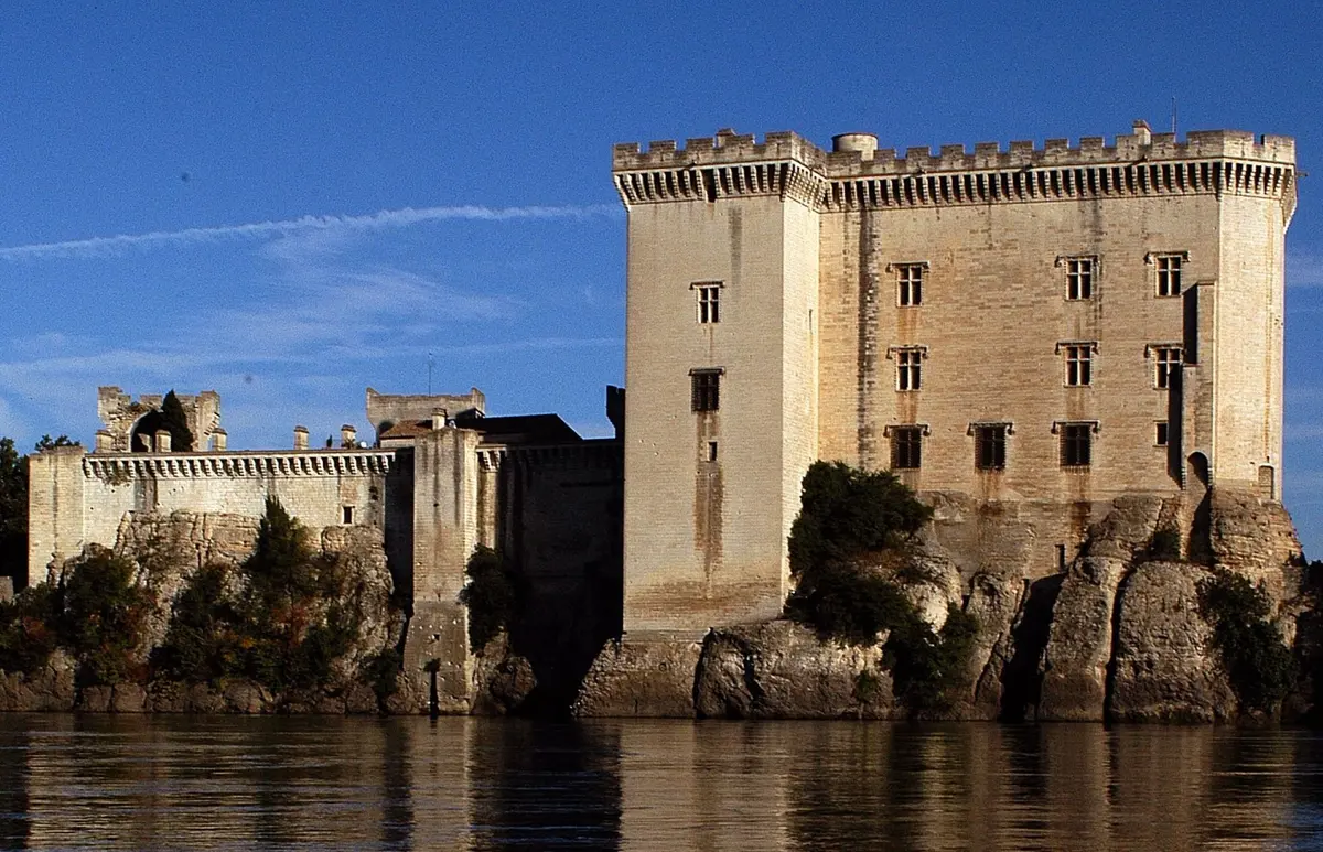 Le Rhône vu du Château !