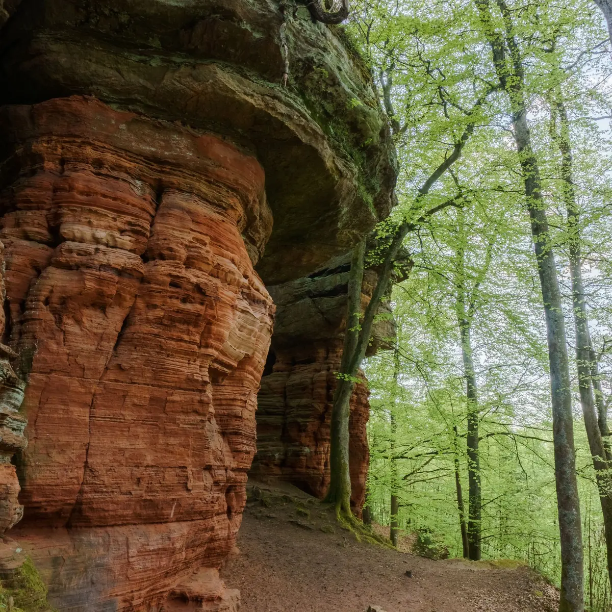 Le rocher de l’Altschlossfelsen