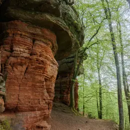 3 sites naturels vraiment insolites en Alsace et aux alentours