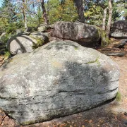 Les rochers magiques du Taennchel