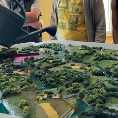 Le rôle des zones humides