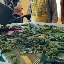Le rôle des zones humides