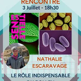 Le Role Indispensable Du Pollen