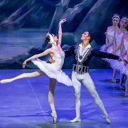 Le Royal Classical Ballet présente Le Lac des Cygnes