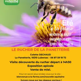 Le Rucher de la Panetterie - Eté à la Ferme - BAF