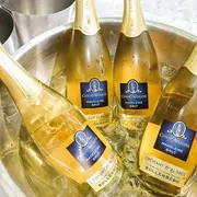 Le Salon des Vignerons de France fête ses 20 ans à Westhalten