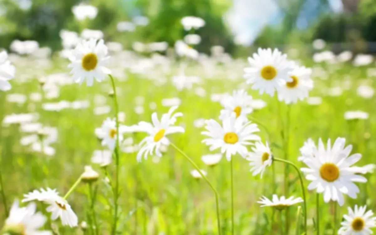 Le salon Destinations nature pour trouver votre prochaine aventure