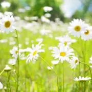 Le salon Destinations nature pour trouver votre prochaine aventure