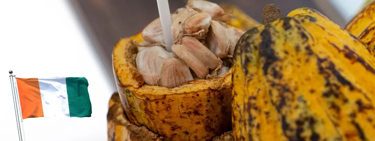 Le Salon International de l’Agriculture 2026 mettra à l’honneur la Côte d’Ivoire