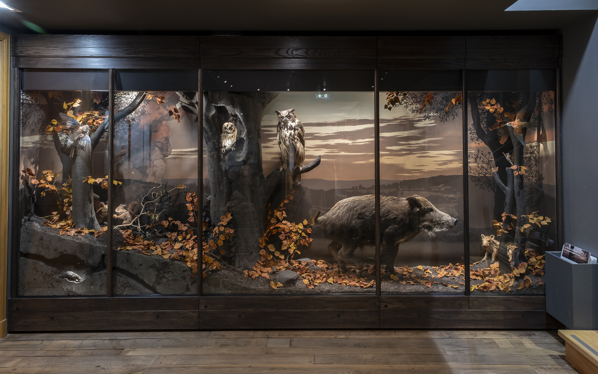 le diorama du musée