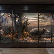 Le salon Lire la nature invite à changer de regard sur le vivant