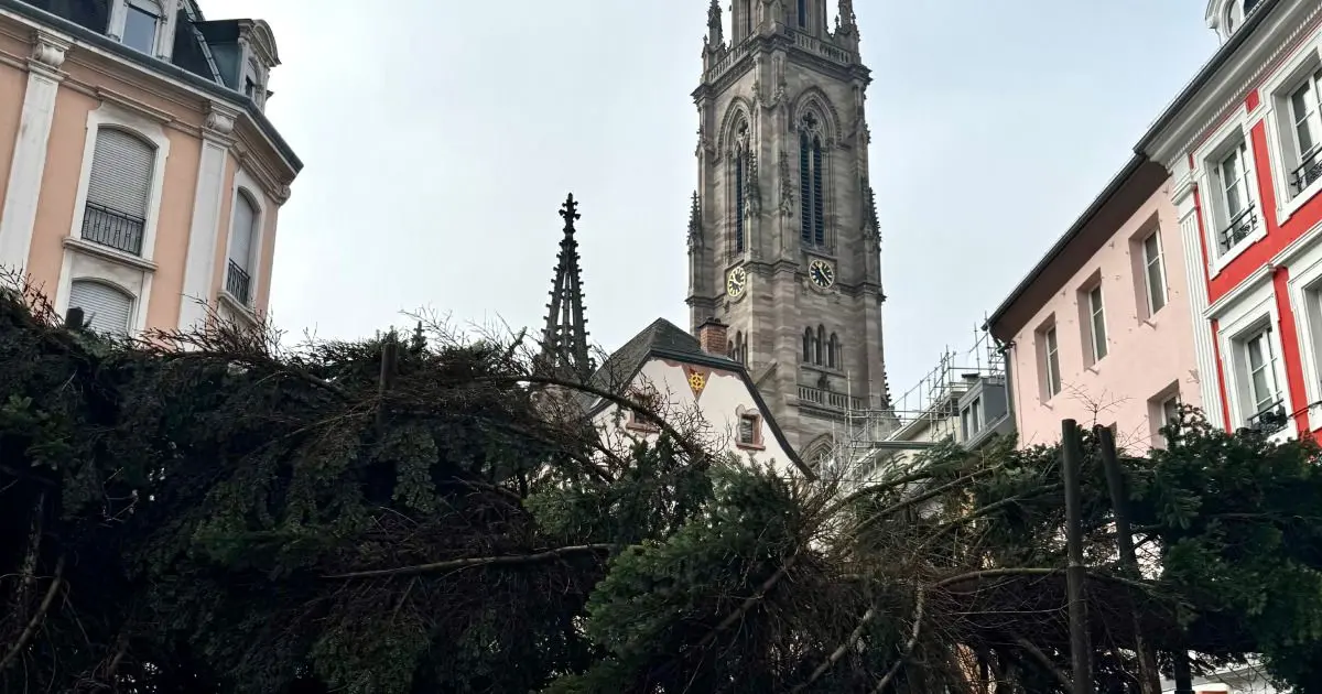 Le sapin de Noël de Mulhouse vient d’être installé ! 🎄✨