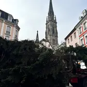 Le sapin de Noël de Mulhouse vient d’être installé ! 🎄✨
