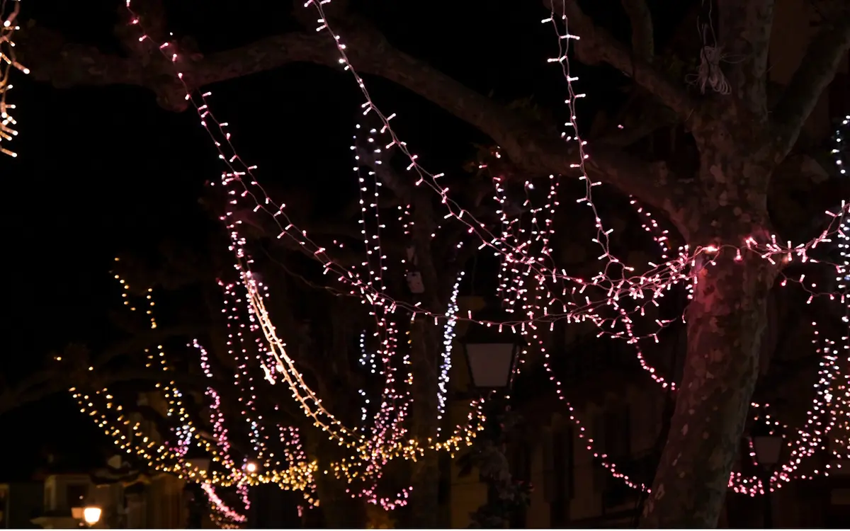 Le sapin féérique : Abracadabouille !