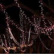 Le sapin féérique : Abracadabouille !