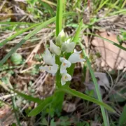 Le sentier des 5 sens au Domaine Les Hauts de Riquets balade gourmande