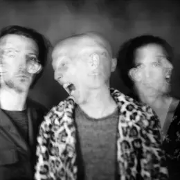Le Skeleton band