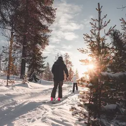 Le ski nordique : un sport d’hiver en plein essor