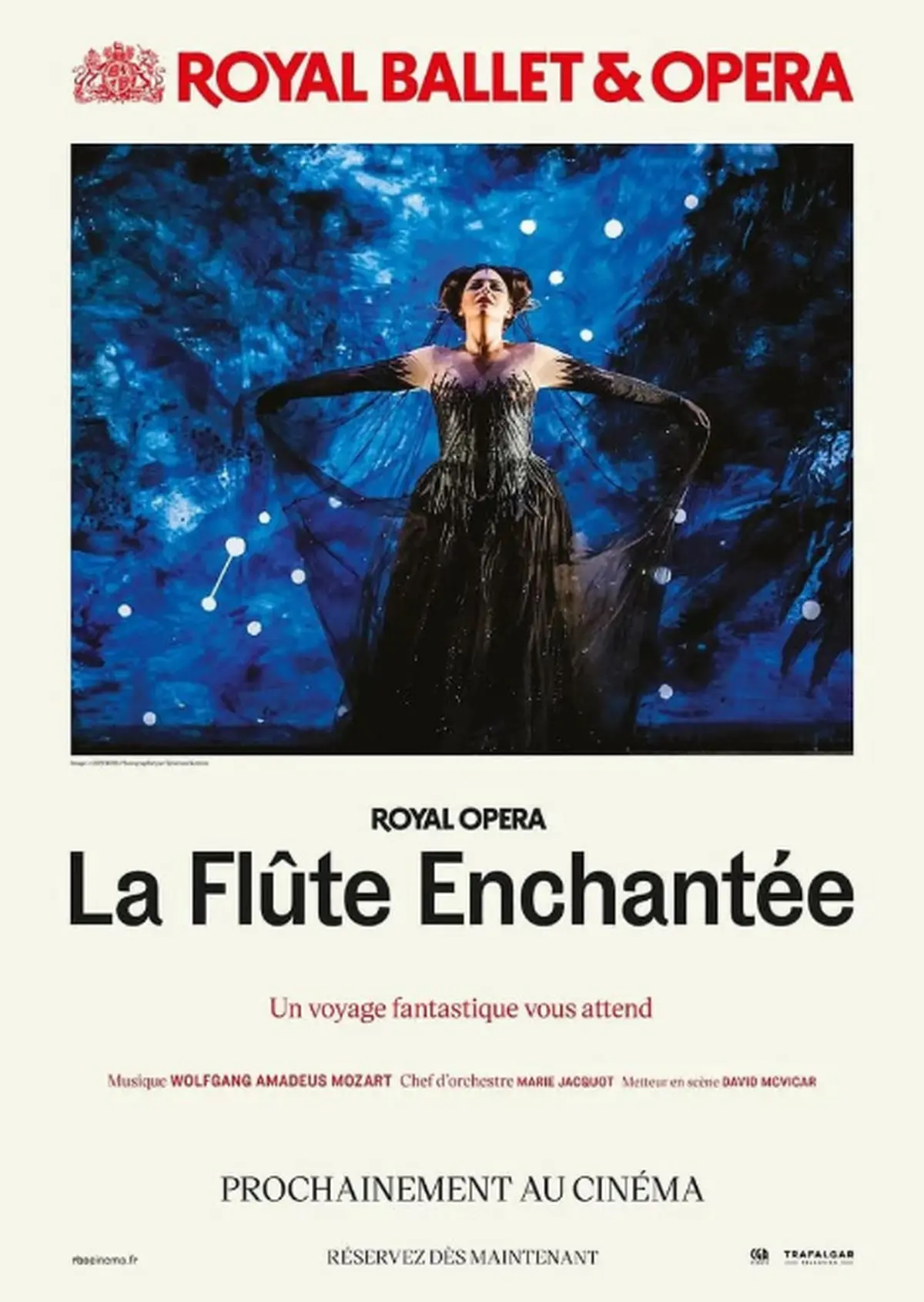 Le Spectacle Au Cinéma : La Flûte Enchantée