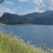 5 lacs vosgiens à voir en Alsace et environs