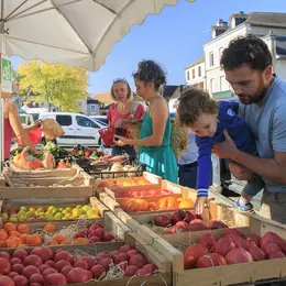 Le stand « tourisme & loisirs » Coteaux Béarn Madiran s’invite au marché !