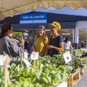 Le stand « tourisme & loisirs Coteaux Béarn Madiran s’invite au marché !