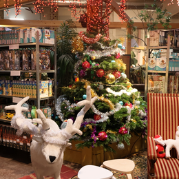 Le Super Noël d’Emmaüs Défi revient le 5 décembre !