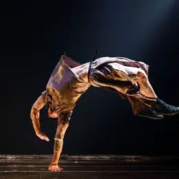 Le Temps d'Aimer la Danse 2026 - Compagnie Hervé Koubi - Sol Invictus