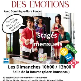 Le théâtre des émotions - MJC Cahors