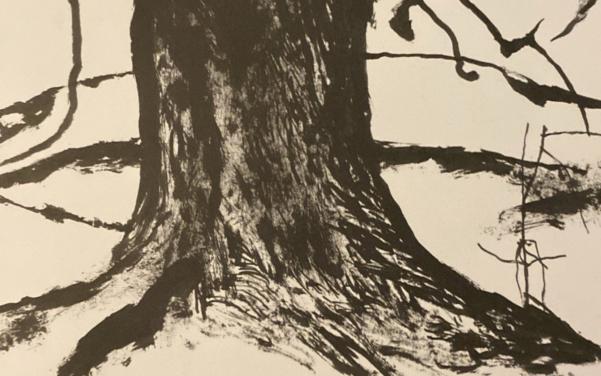 Le Théorème de l’olivier