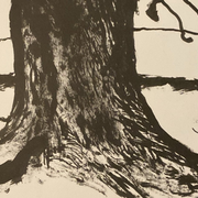 Le Théorème de l’olivier