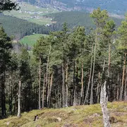 Le petit et grand Hohnack