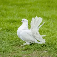 Le top 10 des attractions du Parc du Petit Prince ! DR