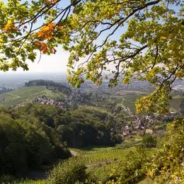 Voyage : les 5 destinations préférées des Alsaciens
